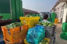 10月全国蔬菜价格环比上涨16%