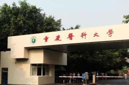 重医大团队发现3个新冠超强抗体