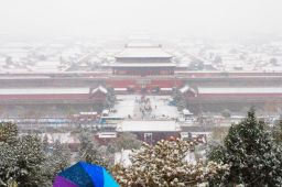 北京喜提入冬初雪