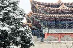 故宫雪景大片来了