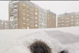 通辽市民早起发现一楼“消失”