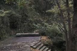 晨跑案嫌犯曾因抢劫强奸获刑18年