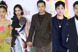 芭莎慈善夜红毯大赏