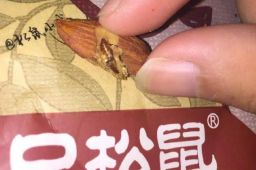 三只松鼠产品吃出虫子