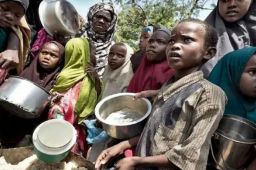 联合国向马斯克提供解决饥荒计划