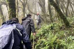 哀牢山遇难4人进山为调查森林资源