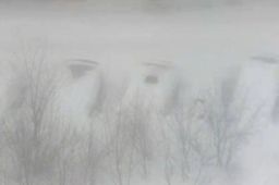 东北雪大到模糊