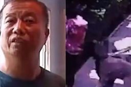 狗咬人事件当事人王新刚被撤职