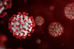 新变异株传染性或增强500%