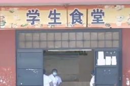 新华社五问学生呕吐腹泻事件