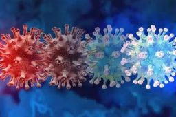 搅乱多国的奥密克戎威胁有多大