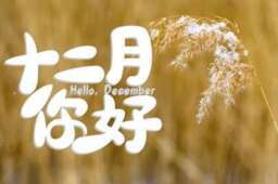 2021的最后1个月