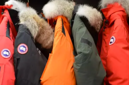 上海市消保委约谈加拿大鹅