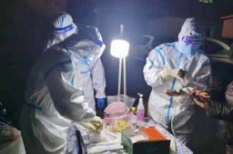 大连疫情涉事冷链企业违法犯罪