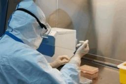 广州确诊者基因测序与入境病例同源