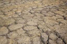 深圳遭遇建市以来最严重缺水