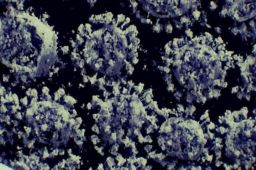 新冠对肥胖人群威胁更大