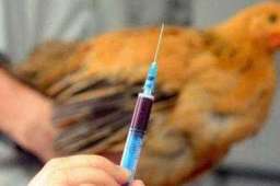 广东惠州报告1例H5N6病例