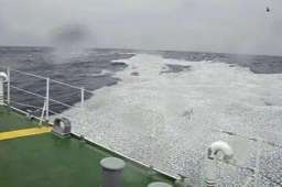 日本近海出现密密麻麻鱼类尸体