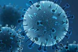 中国内地首次检出奥密克戎变异株