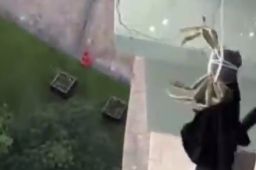 男子用绳吊着大闸蟹下楼取衣服