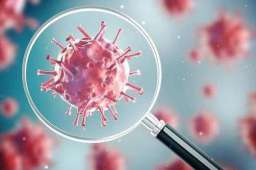 奥密克戎将在美国占主导地位