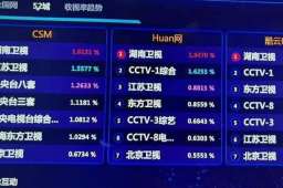 六大电视台跨年晚会收视出炉