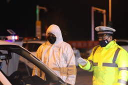 7天130人感染 离开河南的人去哪了