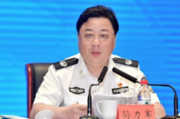 政法虎孙力军涉操纵证券市场等3罪