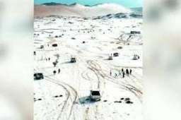 为看雪景 沙特数百辆车堵在路上