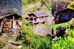 男子在林芝5A景区隐居6年被劝回家