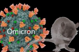 奥密克戎疑似宿主出现