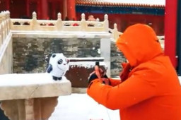 带冰墩墩去故宫被围观