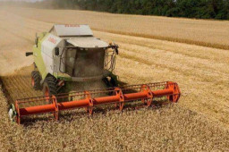 海关总署：允许俄罗斯全境小麦进口