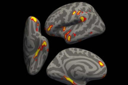 新冠或致大脑萎缩 使人提前老10岁