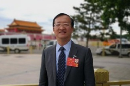 委员：惩处薇娅等偷逃税主播很必要