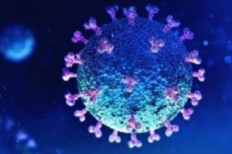 日增破三千 奥密克戎传播力有多强