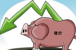 三四月猪价或跌至每斤6元谷底