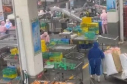 双汇生产车间乱象