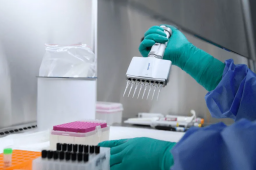 轻症病例为何可以实行集中隔离管理