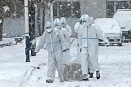 我们一起跨过这场“倒春寒”