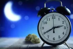 世界睡眠日警惕这些睡眠误区