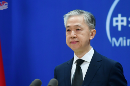 汪文斌回应戴黑色领带有什么意义