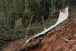 乘客家属：姐姐姐夫带女儿乘机看病