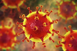 新冠病毒再现新变种XE