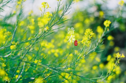 清明假期第1天 全国大部天气晴好