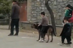 男孩坐在狗狗身上排队做核酸