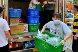 广州管控区蔬菜包10元一袋