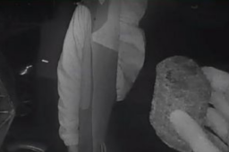 男子爬山以为捡到秤砣结果是手雷