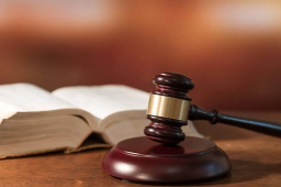 上司迷晕女孩致死案二审维持无期